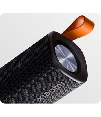 Xiaomi Sound Outdoor (30W)